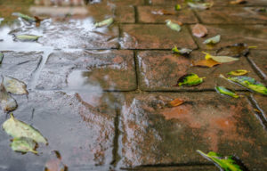 Stamped concrete is extremely durable and low maintenance